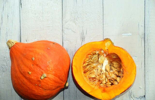 zucca pumpkins