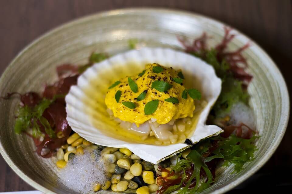 scallop - capasanta pesce fish