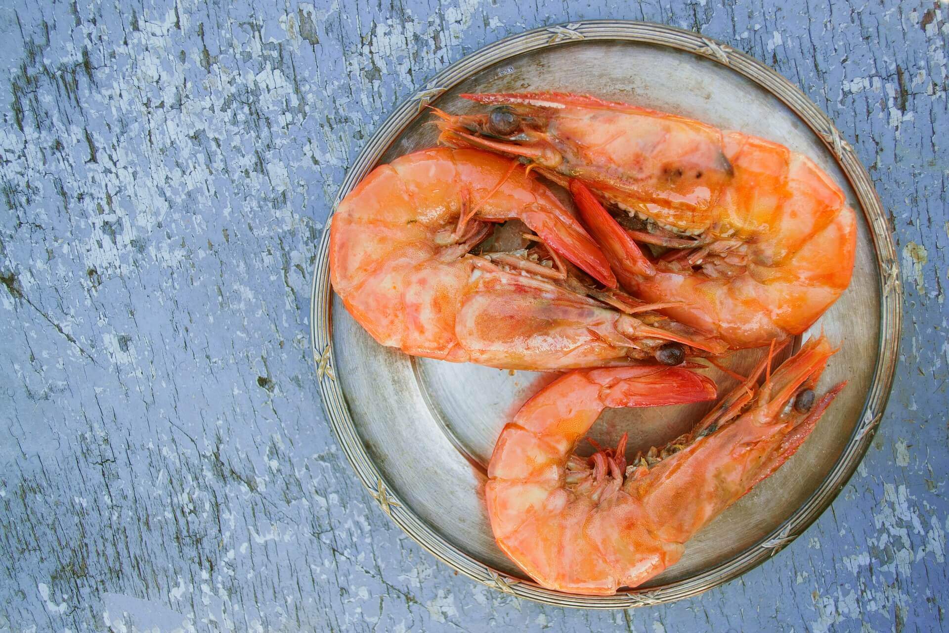 shrimps - gamberi