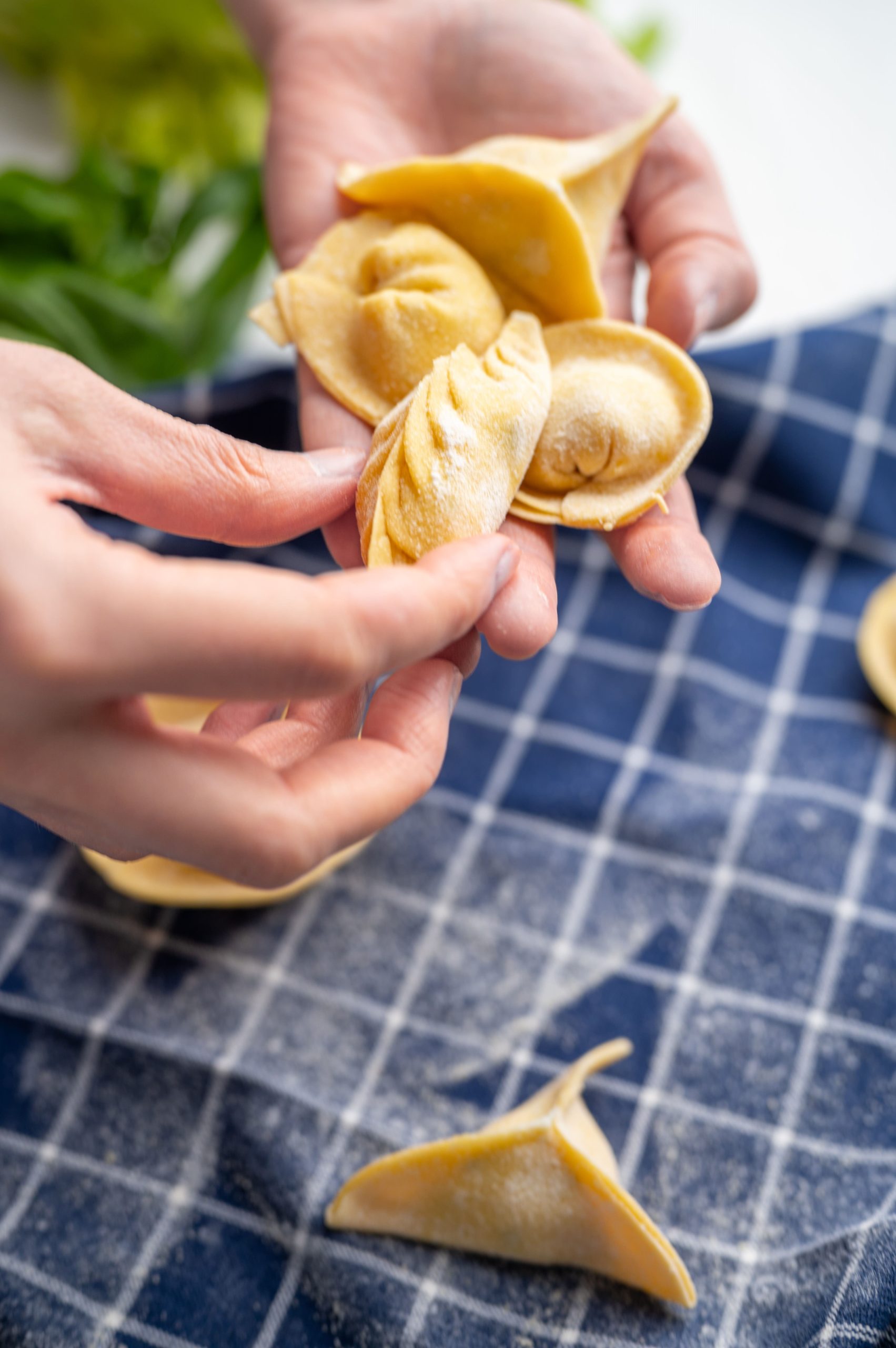 tortelli-ravioli-cappelli d'alpino