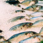 Corso di pesce: La crosta di sale