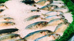 Corso di pesce: La crosta di sale